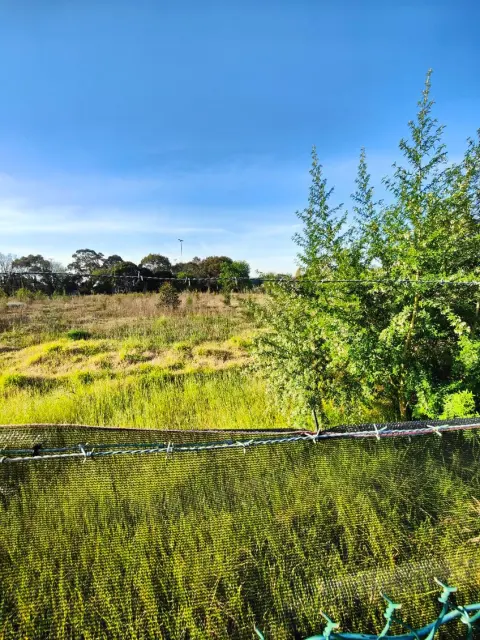 9,000 m² block slashed, Northcote: photo 2 of 14