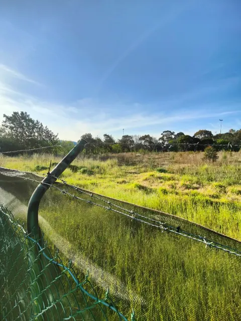 9,000 m² block slashed, Northcote: photo 4 of 14