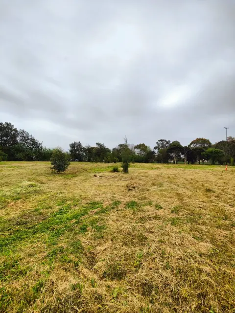 9,000 m² block slashed, Northcote: photo 6 of 14