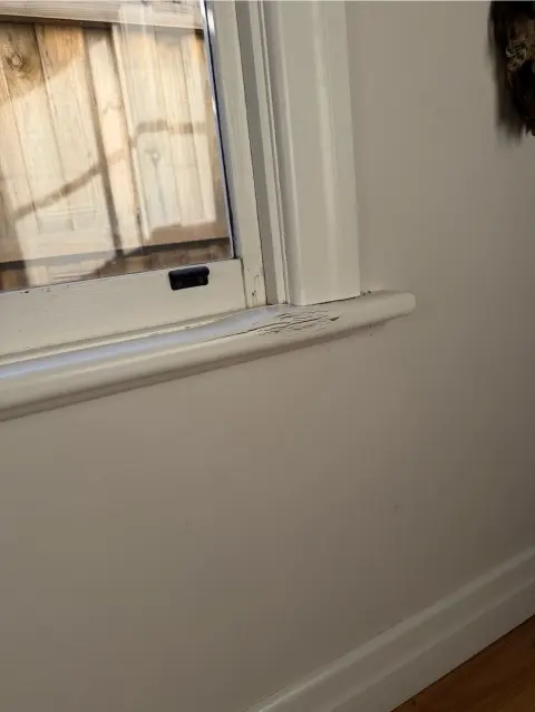 Window sill replaced and repainted: photo 2 of 4